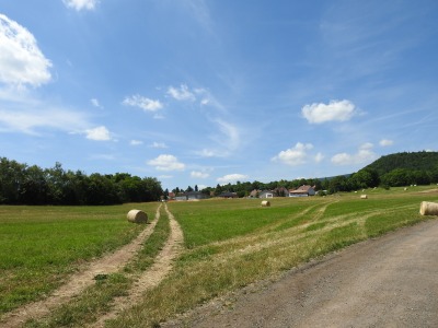 Pozemek k výstavbě rodinných domů v Dubí u Teplic.